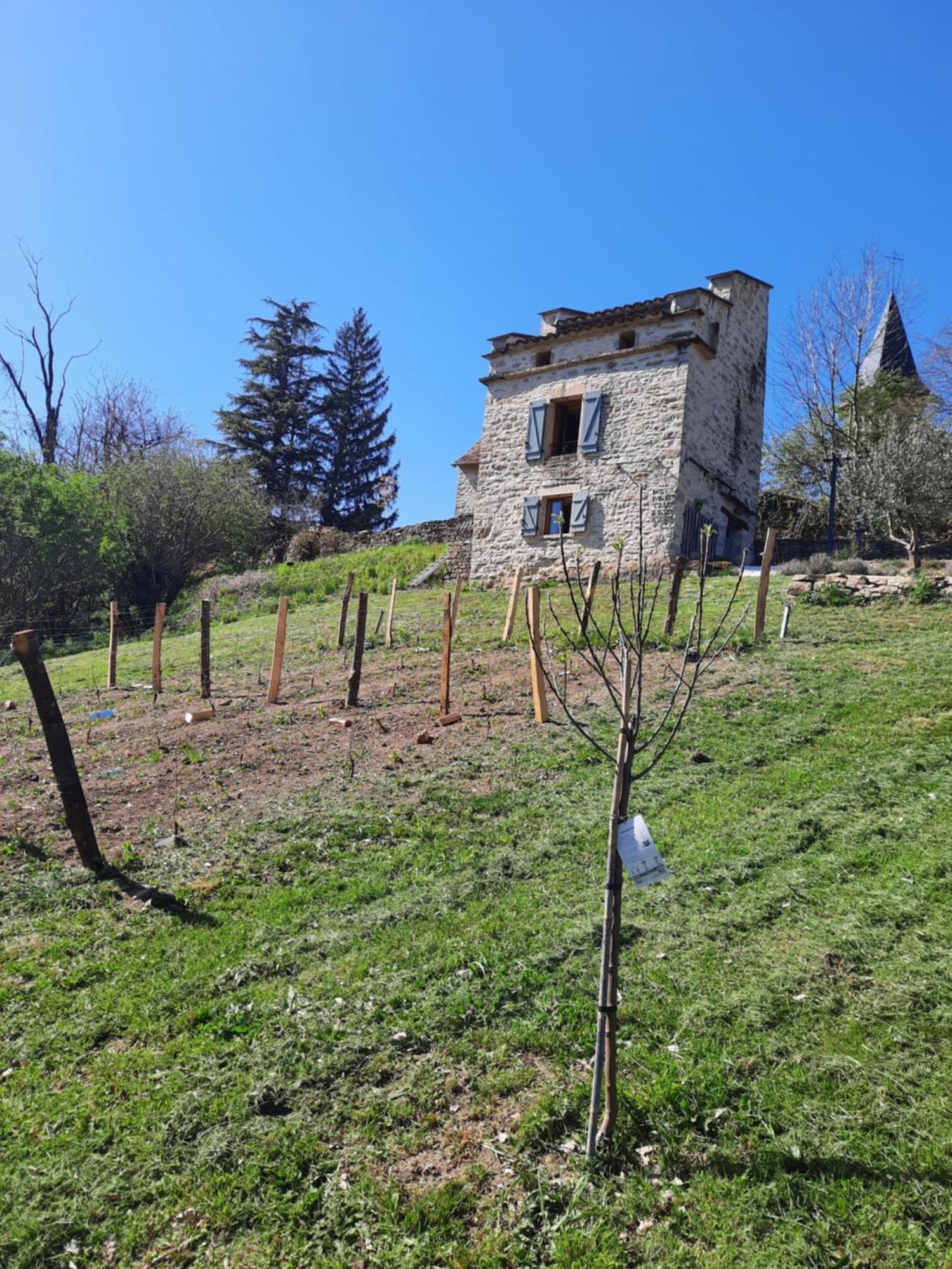 Caylus Le Pigeonnier De Felinesヴィラ 部屋 写真